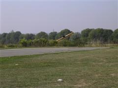 PICT2548.JPG